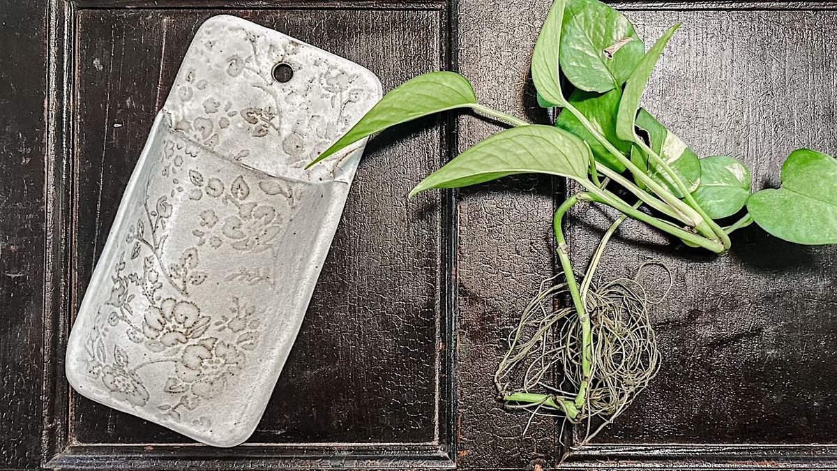 Wall Pocket Planter, 12 June | Event in Jonesborough | AllEvents