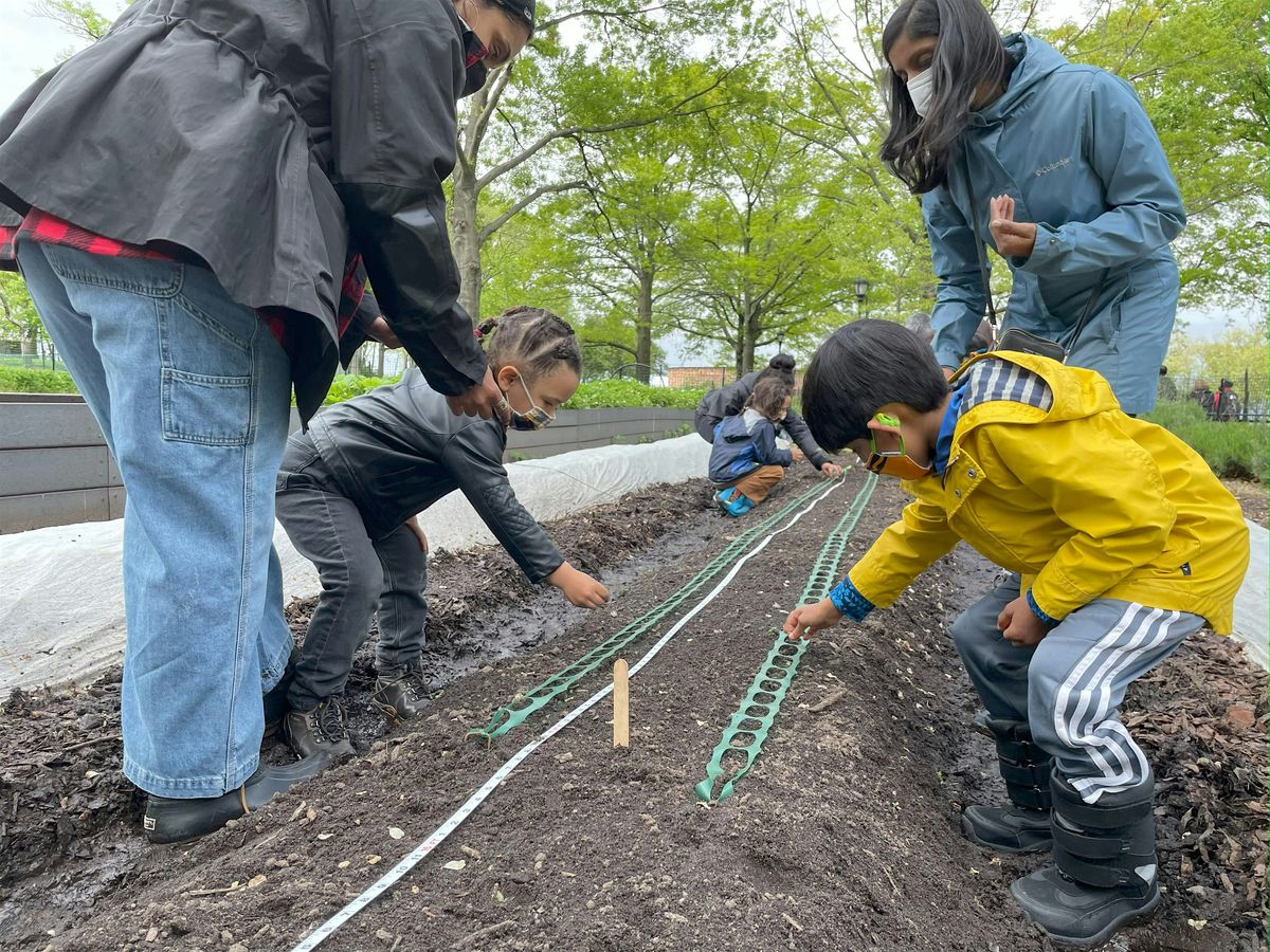 Open Farm Day at Battery Urban Farm: May | Event in New York | AllEvents