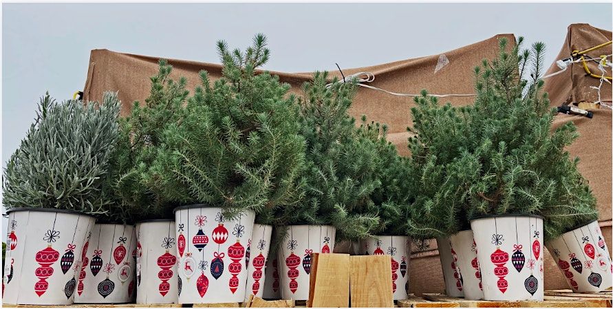 Mini Tree Decorating Party!, 6 December | Event in Detroit | AllEvents