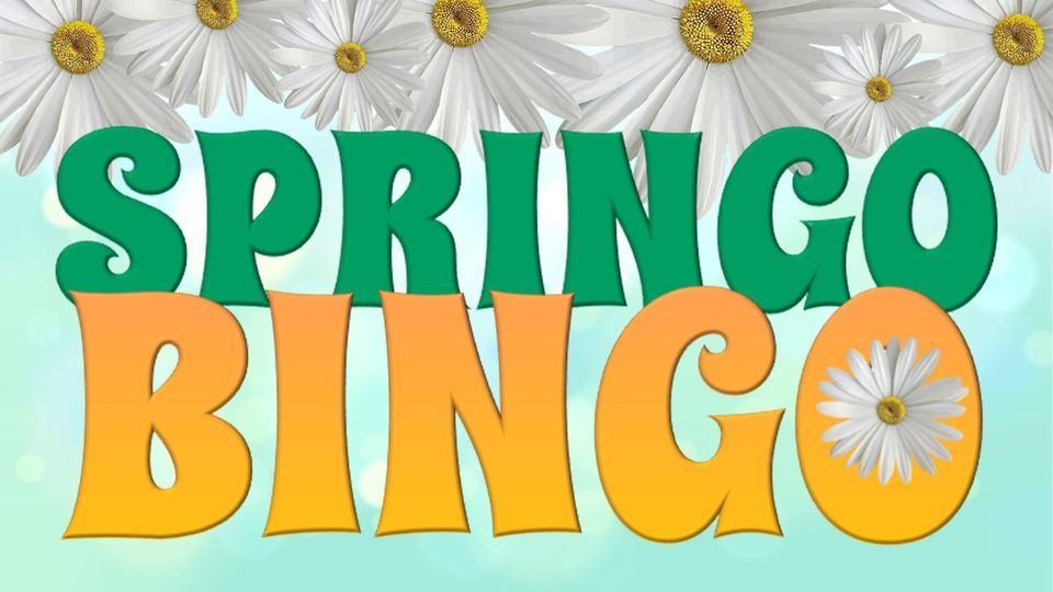 Springo Bingo, 8260 4th St N, Oakdale, MN, United States, Minnesota ...
