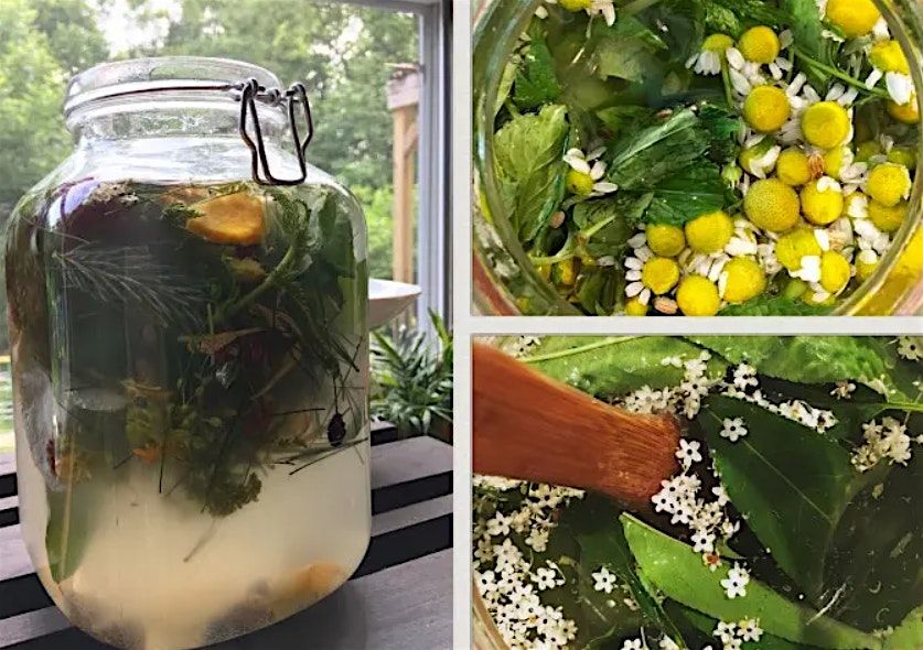 DIY Herbal Sodas & Switchels in Baltimore, 19 July | Event in Baltimore | AllEvents