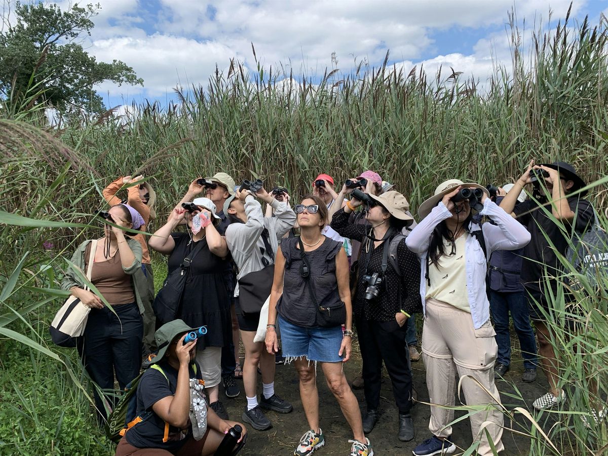 Bird Walk at Jamaica Bay, 2 August | Event in Queens | AllEvents