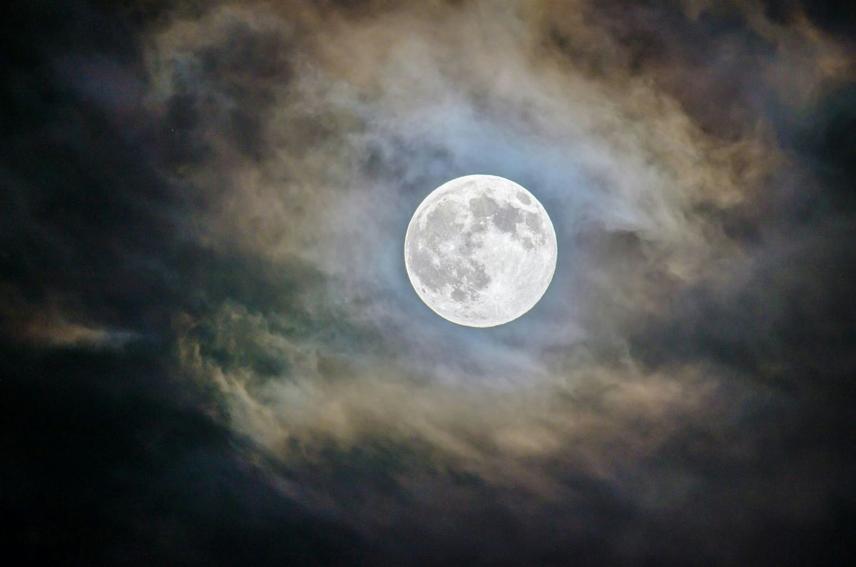 Moonrise Meditation & Forest Stroll, 9 August | Event in Richmond | AllEvents