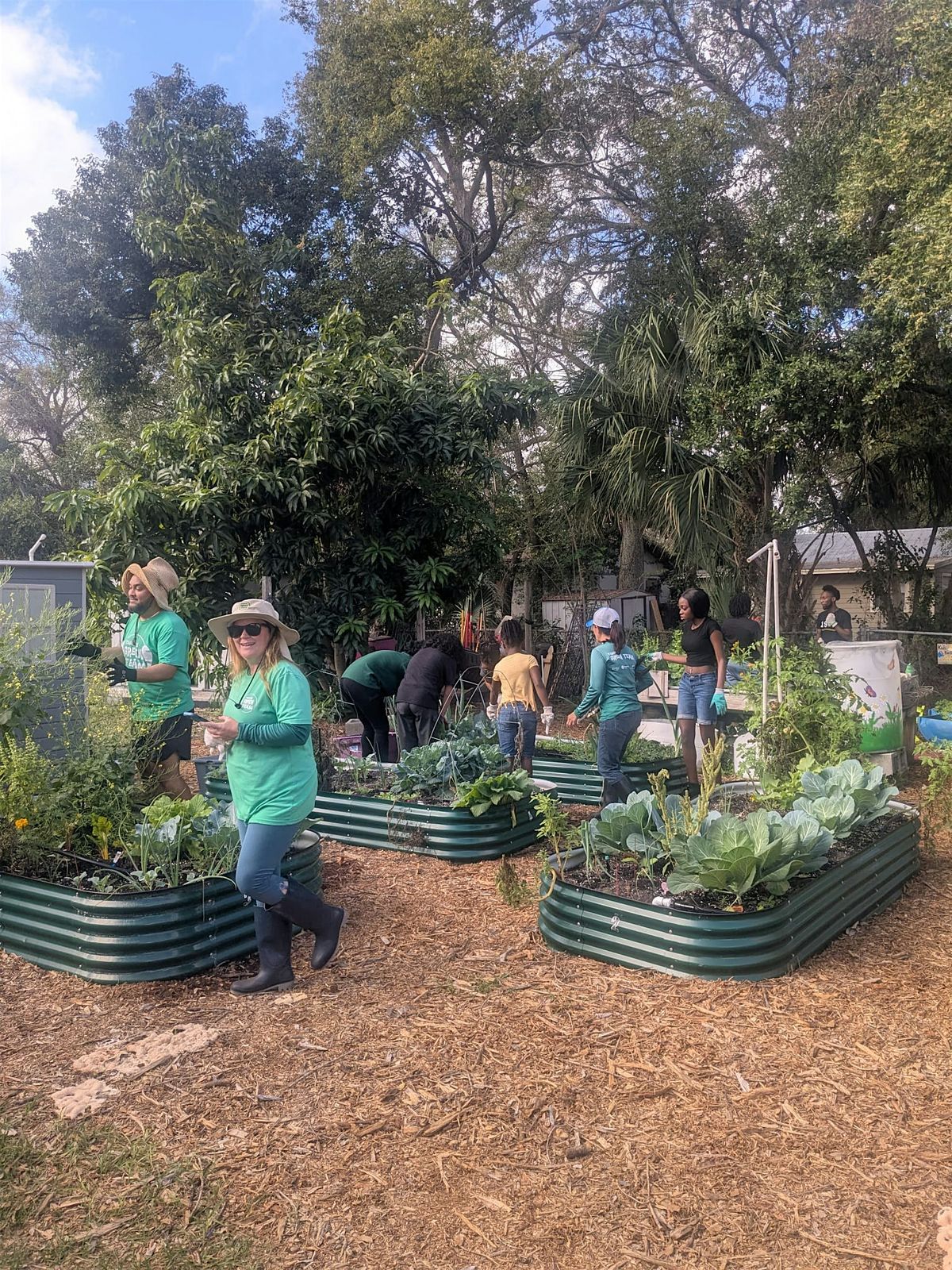 June 26th Workday at 813 Hood Garden!, 26 June | Event in Tampa | AllEvents