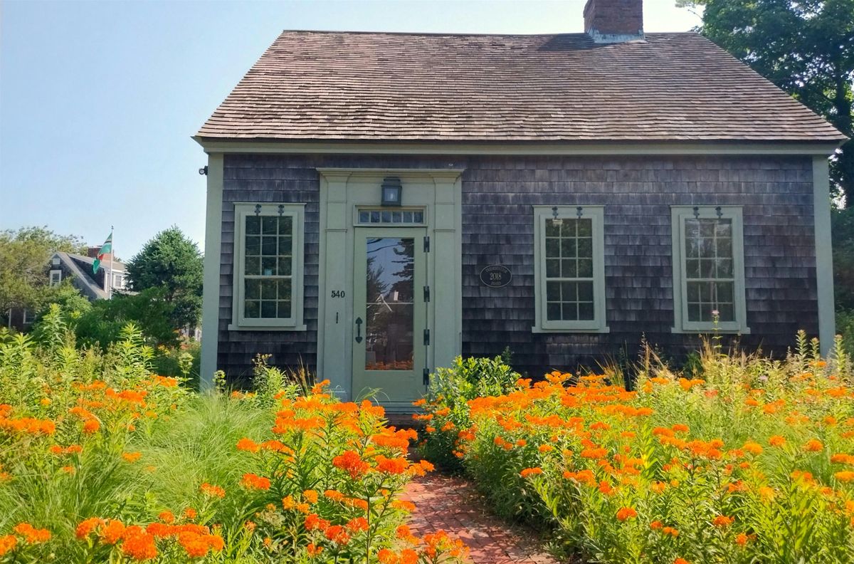 Mini-Meadow on Main: Cape Cod Native Plantings, 16 August | Event in Chatham | AllEvents