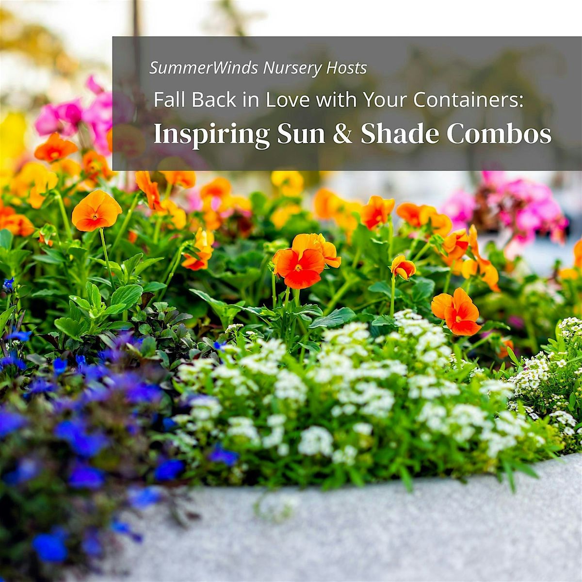 Fall Back in Love with Your Containers: Inspiring Sun & Shade Combos, 26 July | Event in Novato | AllEvents