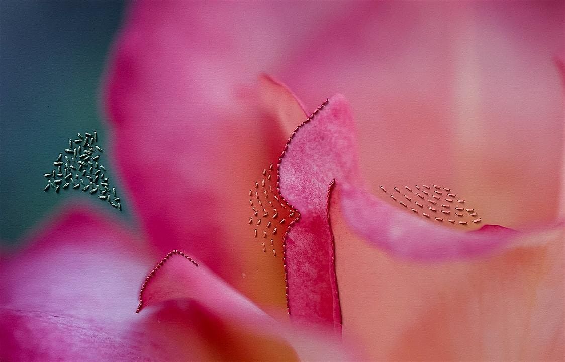 Nature Embroidered: The Art of Myrtie Cope, 2 August | Event in Atlanta | AllEvents
