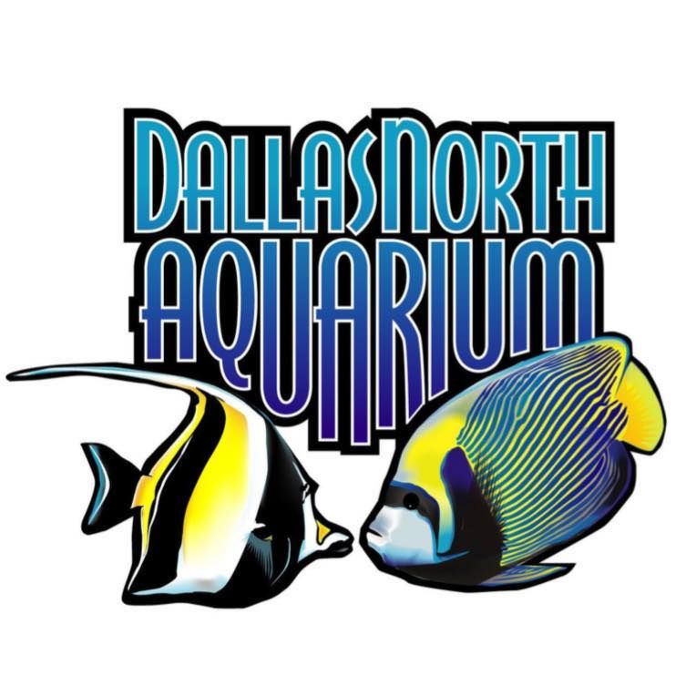Gathering & Giveaways at Dallas North Aquarium club June InPerson