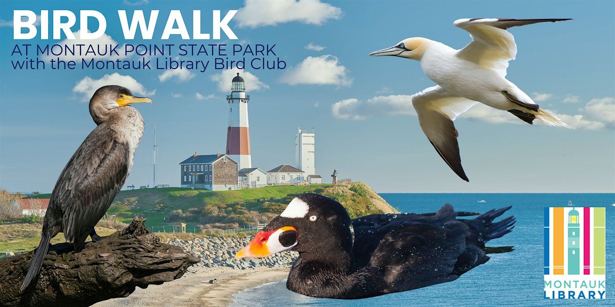 Bird Walk at Montauk Point (Rain Date)