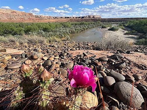 Upper Sand Island Hike- Sunday, 19 October | Event in Bluff | AllEvents