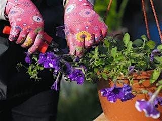 Container Refresh, 24 July | Event in Columbia | AllEvents