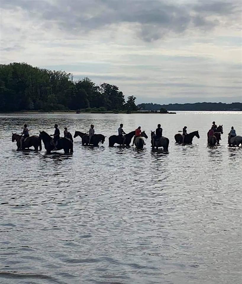 TROT Annual Pony Swim at High Tide Farm, 3 August | Event in Pasadena | AllEvents