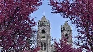Cherry Blossom Walking Tour in Branch Brook Park, 5 April | Event in Newark | AllEvents