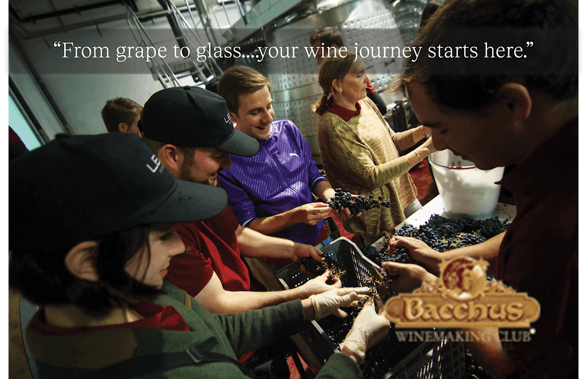 You Be the Winemaker — Craft It. Bottle It. Love It.  Harvest at Domenico!, 6 September | Event in San Carlos
