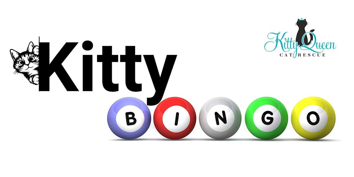 Kitty Bingo, 26 September | Event in Pittsburgh | AllEvents