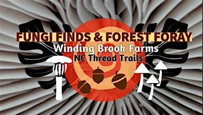 Fungi Finds & Forest Foray, 9 November | Event in Waxhaw | AllEvents