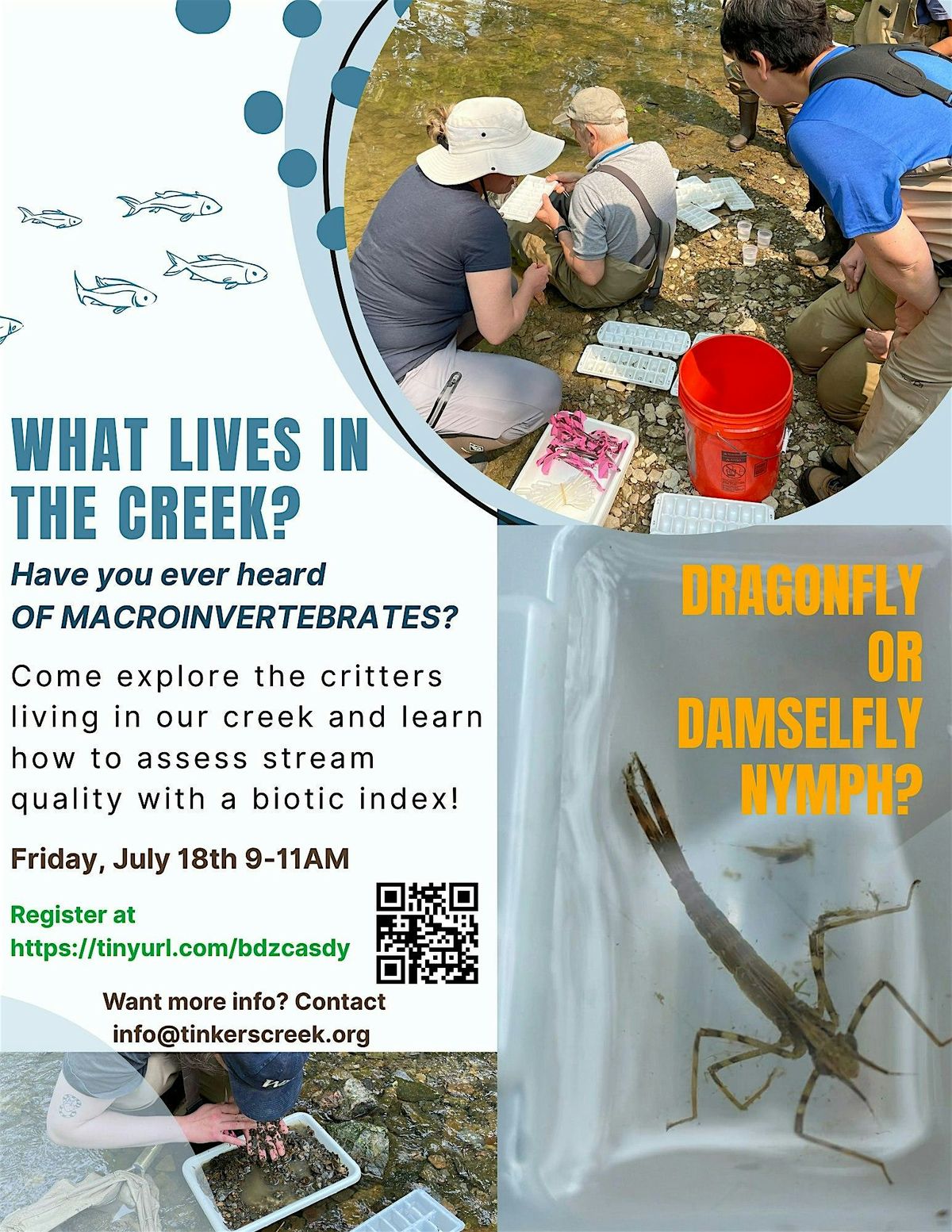 Bugs Below the Surface: A Creek Critter Count, 18 July | Event in Twinsburg | AllEvents