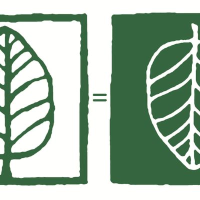 The Scottish Ecological Design Association (SEDA) logo