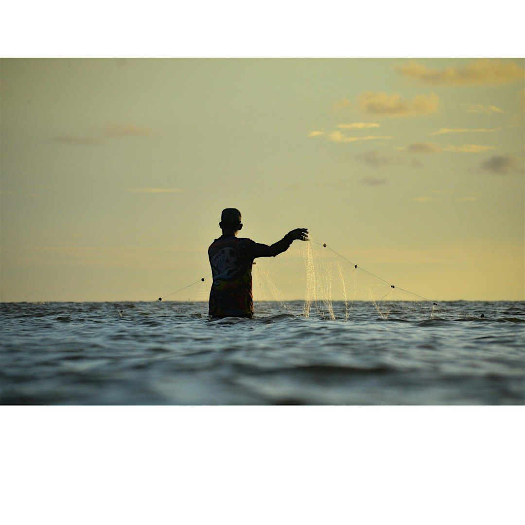 Seining the Sound: Family Program, $4 per person upon arrival, 27 July | Event in Kings Park | AllEvents
