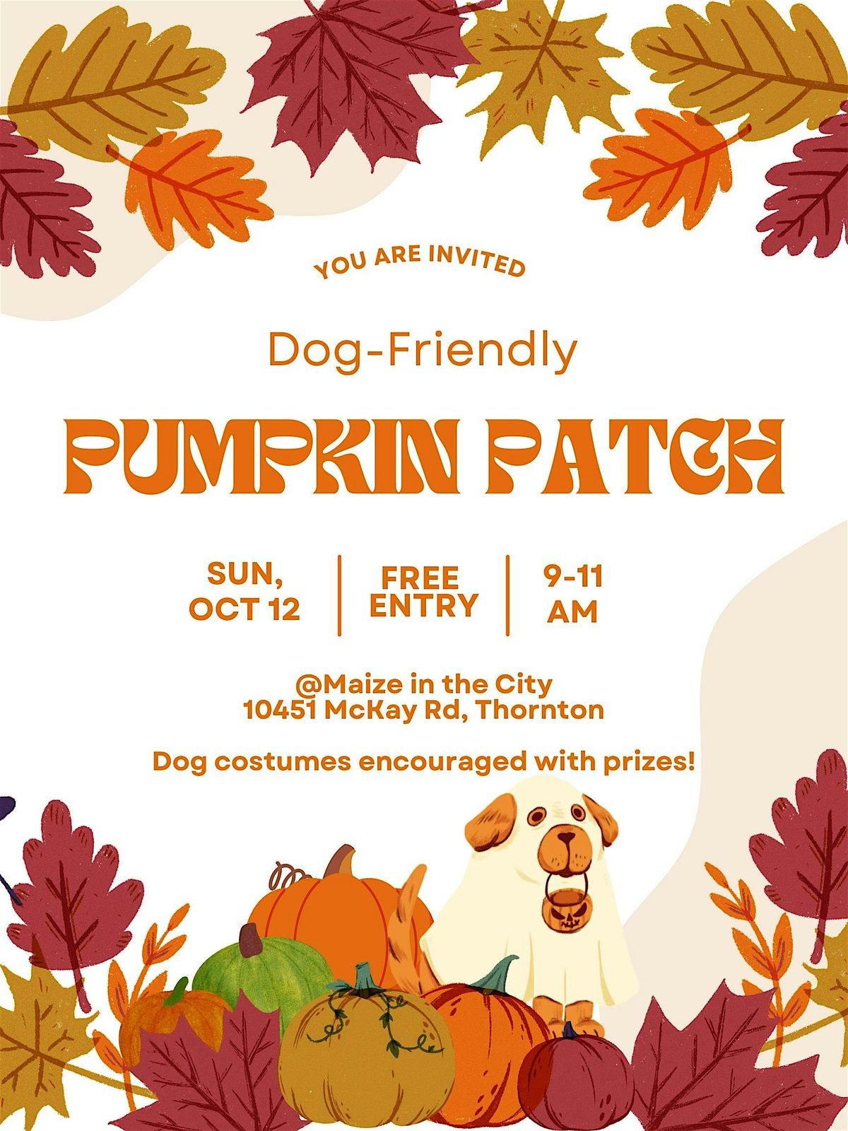 DDMC Oct Pumpkin Patch Event, 12 October | Event in Thornton | AllEvents