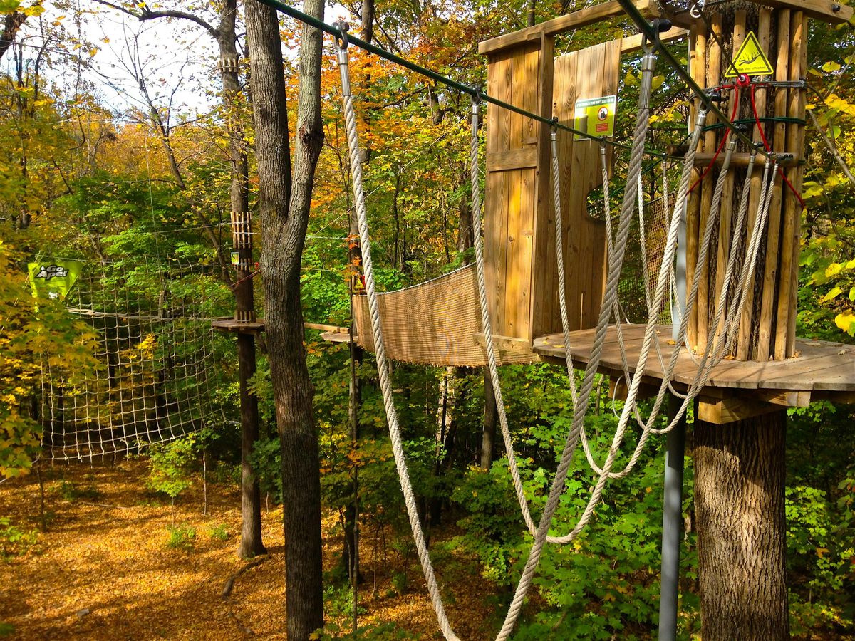 Learn More: Fall Events at Go Ape Indianapolis | Event in Indianapolis | AllEvents