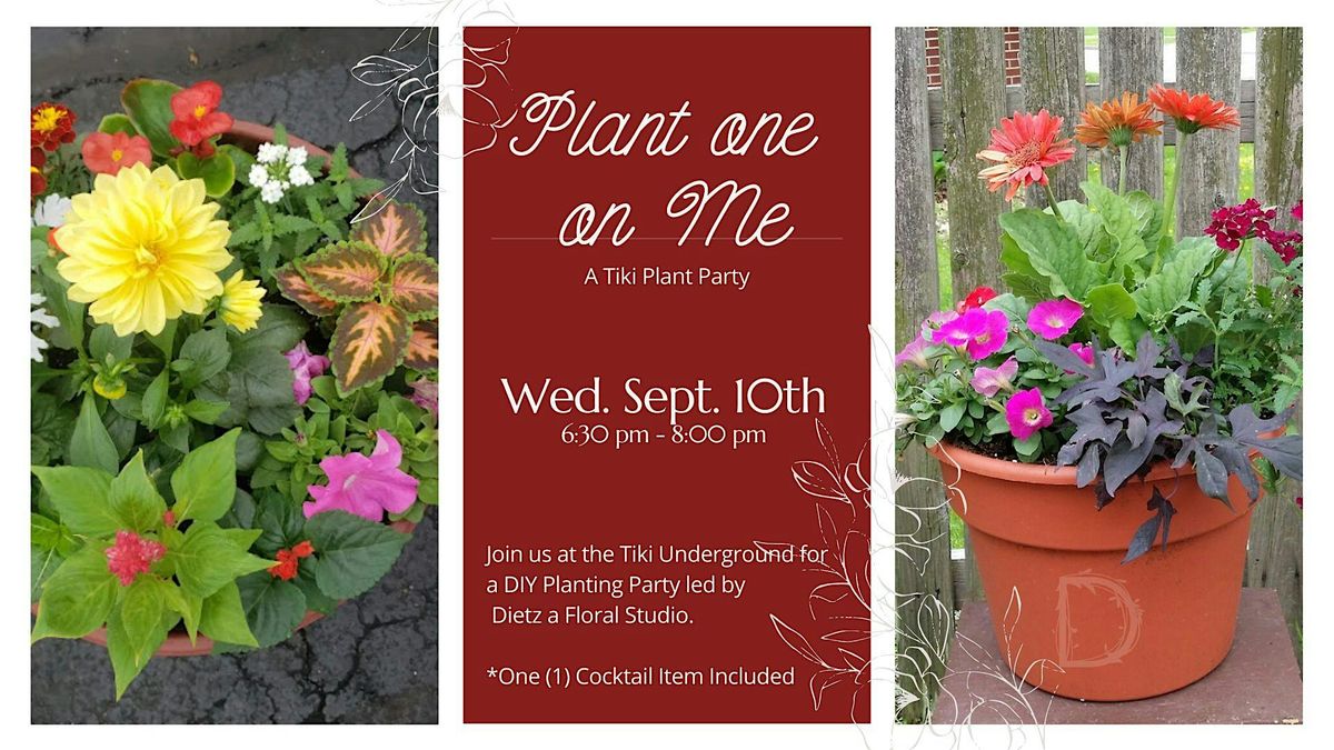 Plant One On Me: A Fall Patio Potting Workshop, 10 September | Event in Cuyahoga Falls | AllEvents
