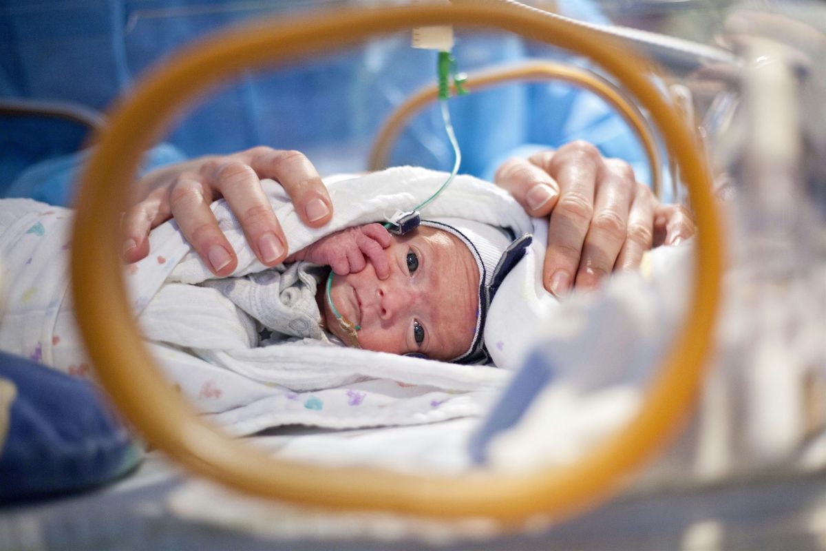 Funktionelle Echokardiographie bei Kindern und Neugeborenen, 24 April | Event in Hamburg | AllEvents