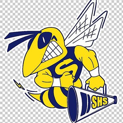 SHS Class of 1985 Reunion