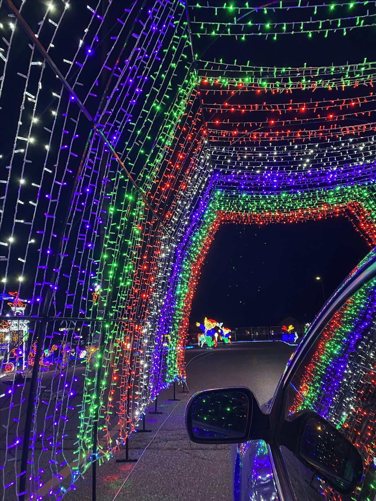 Journey Into Enchantment - Ajax || Christmas Light Show, 28 November | Event in Ajax | AllEvents