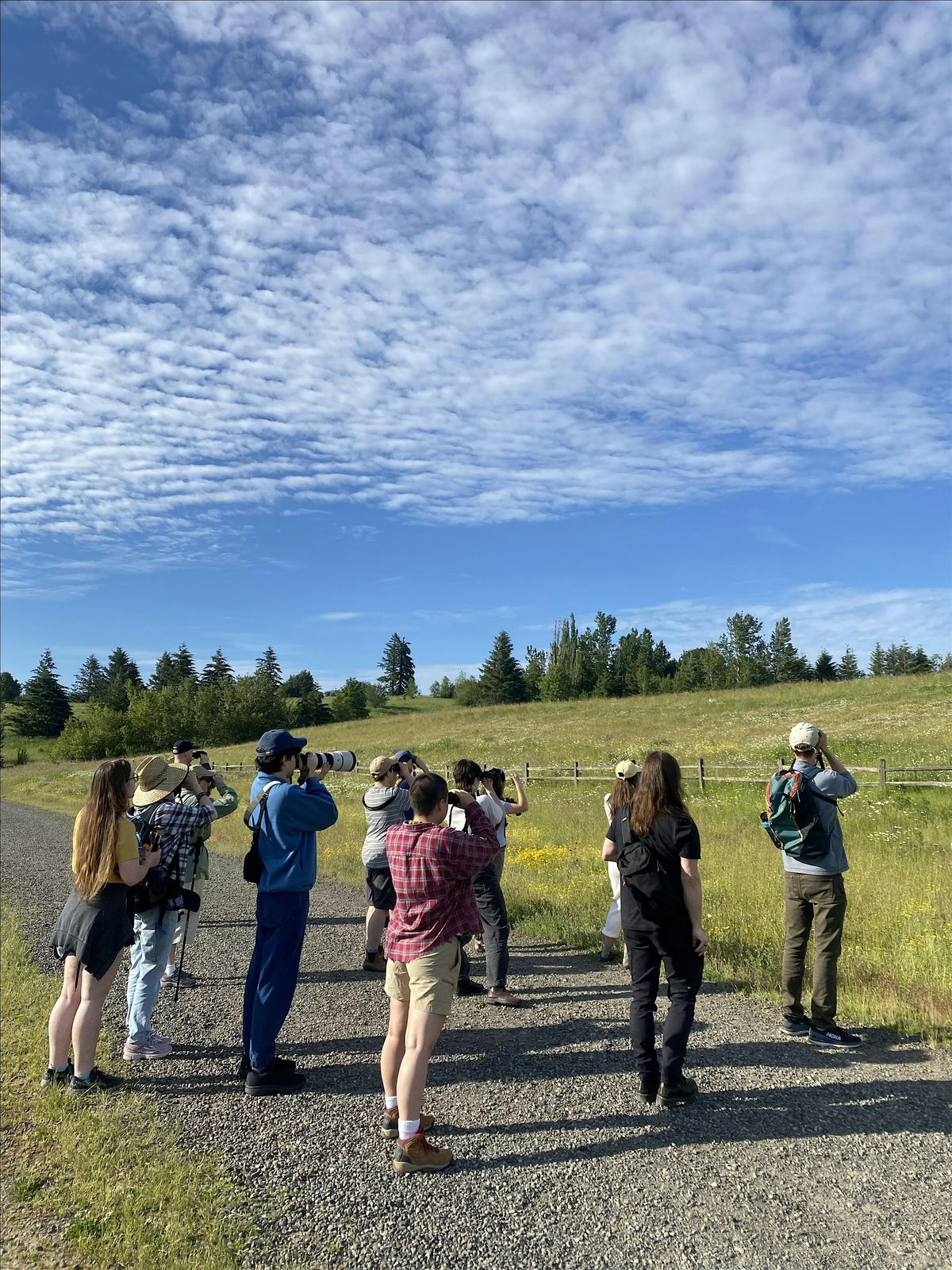Powell Butte Birding!, 1 June | Event in Portland | AllEvents