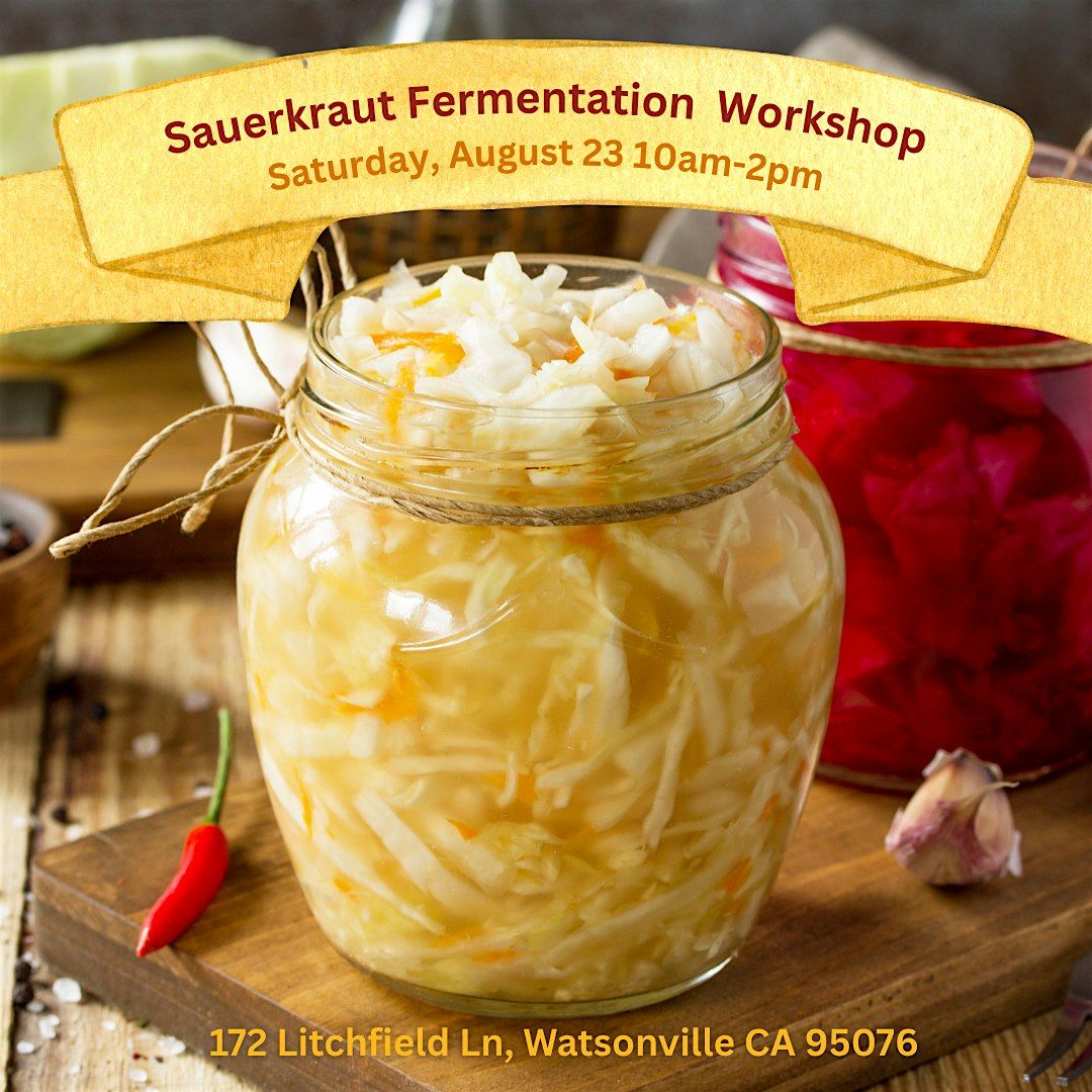 Sauerkraut Fermentation Workshop, 23 August | Event in Watsonville | AllEvents