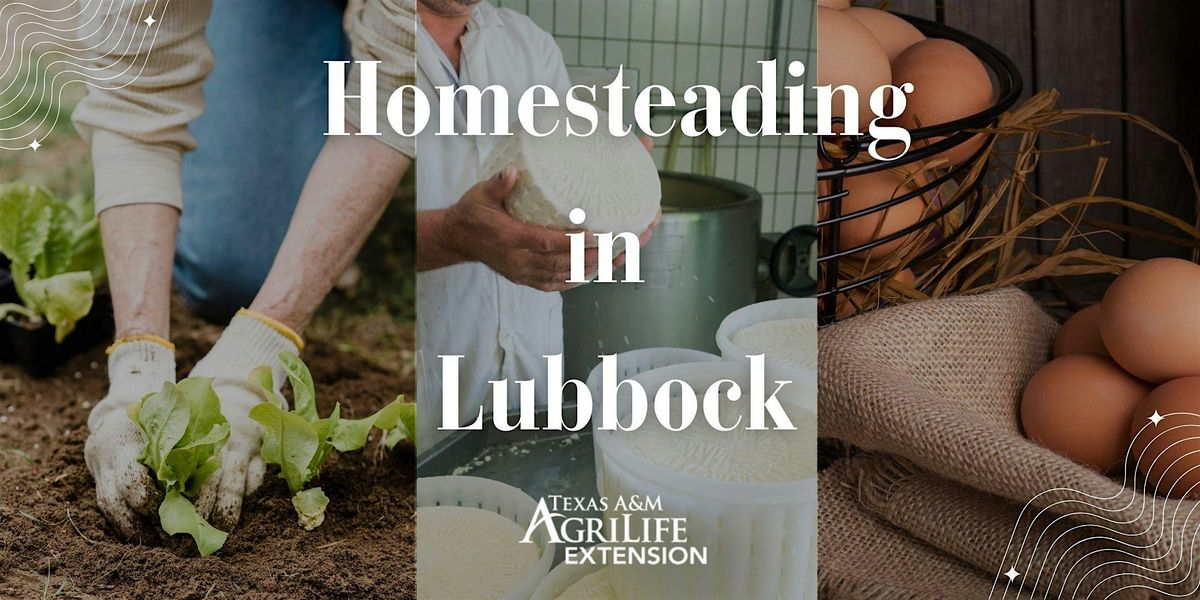 Homesteading In Lubbock, 1 November | Event in Lubbock | AllEvents