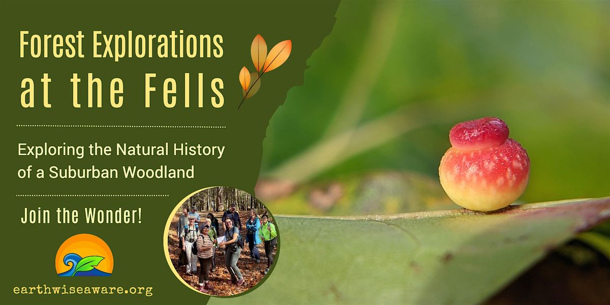 Spring Forest Explorations, 10 May | Event in Winchester | AllEvents