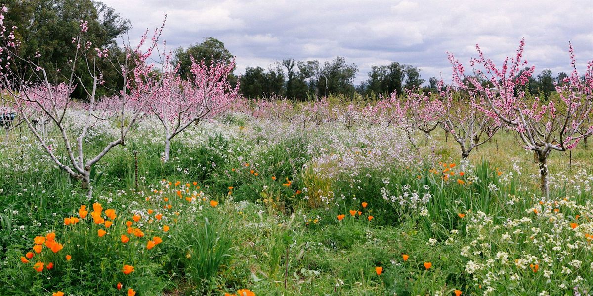 Spring Tours of Apricot Lane Farms (The Biggest Little Farm) | Event in Moorpark | AllEvents
