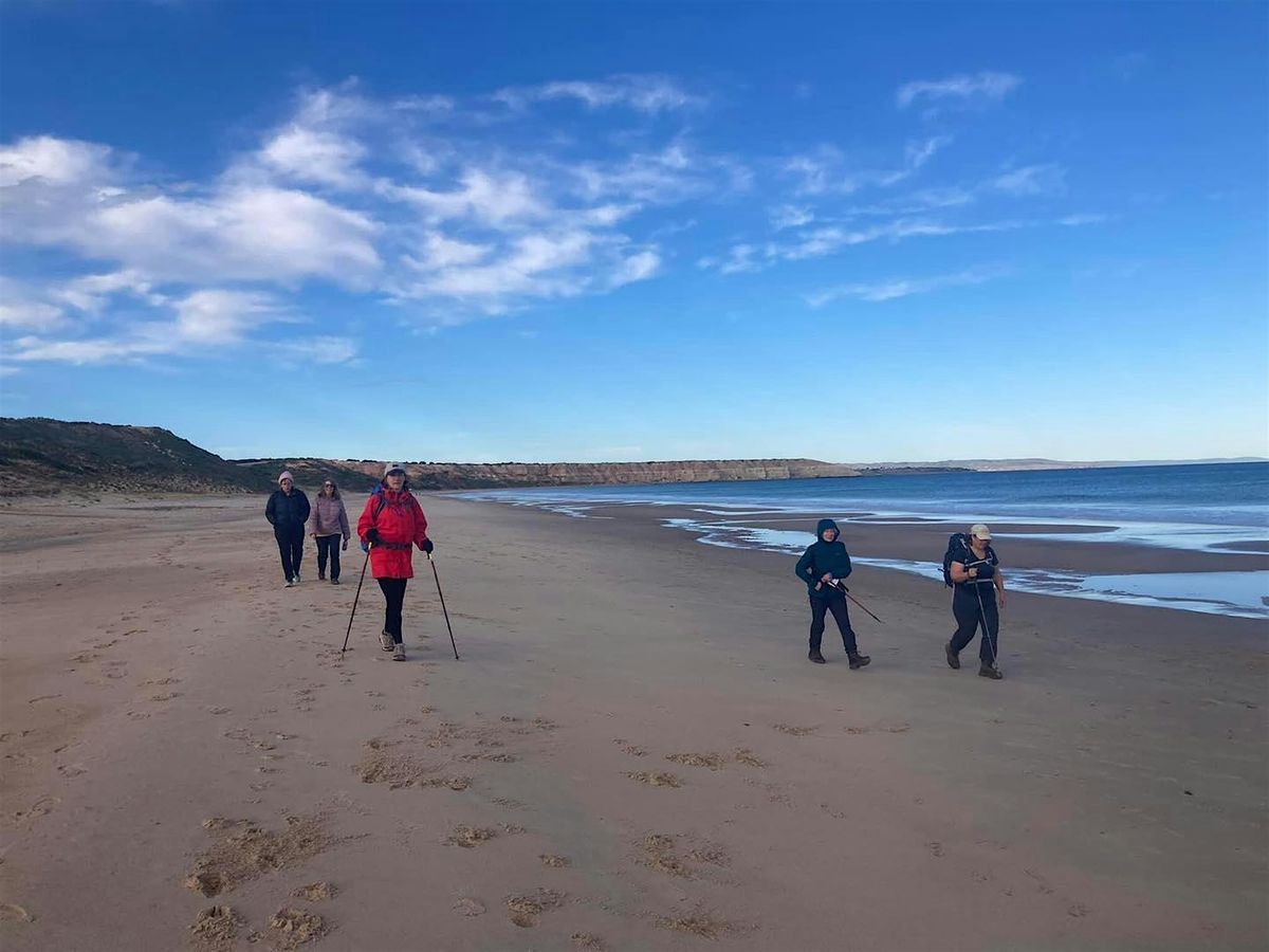 Willunga Basin Trail - Section 5- Sunday 7th December, 7 December | Event in McLaren Vale | AllEvents