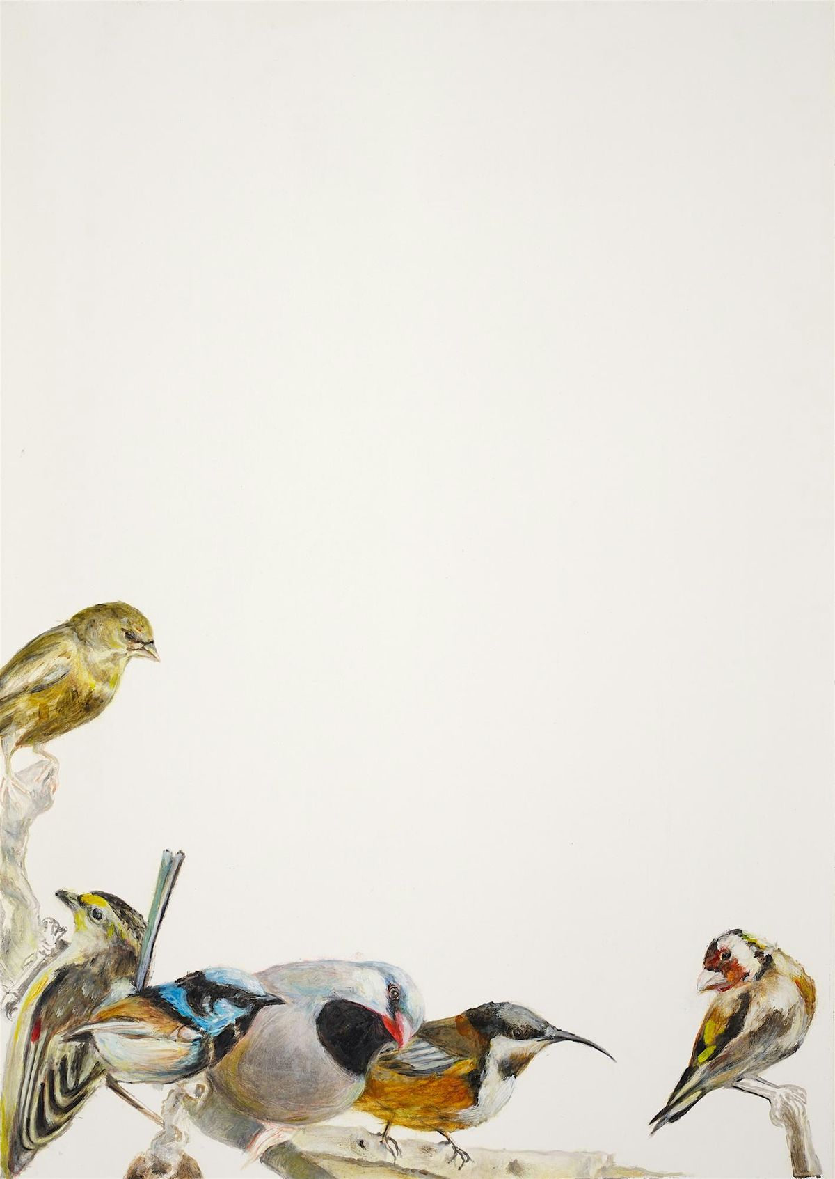 Holiday Program: Watercolour Birds (AM session) | Event in Launceston | AllEvents