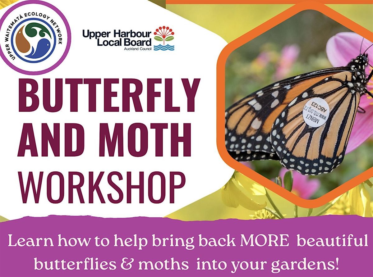 FREE Butterfly and Moth Workshop, 28 July | Event in Auckland | AllEvents
