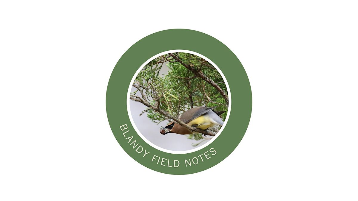 Blandy Field Notes: Seed Dispersal, 11 September | Event in Boyce | AllEvents