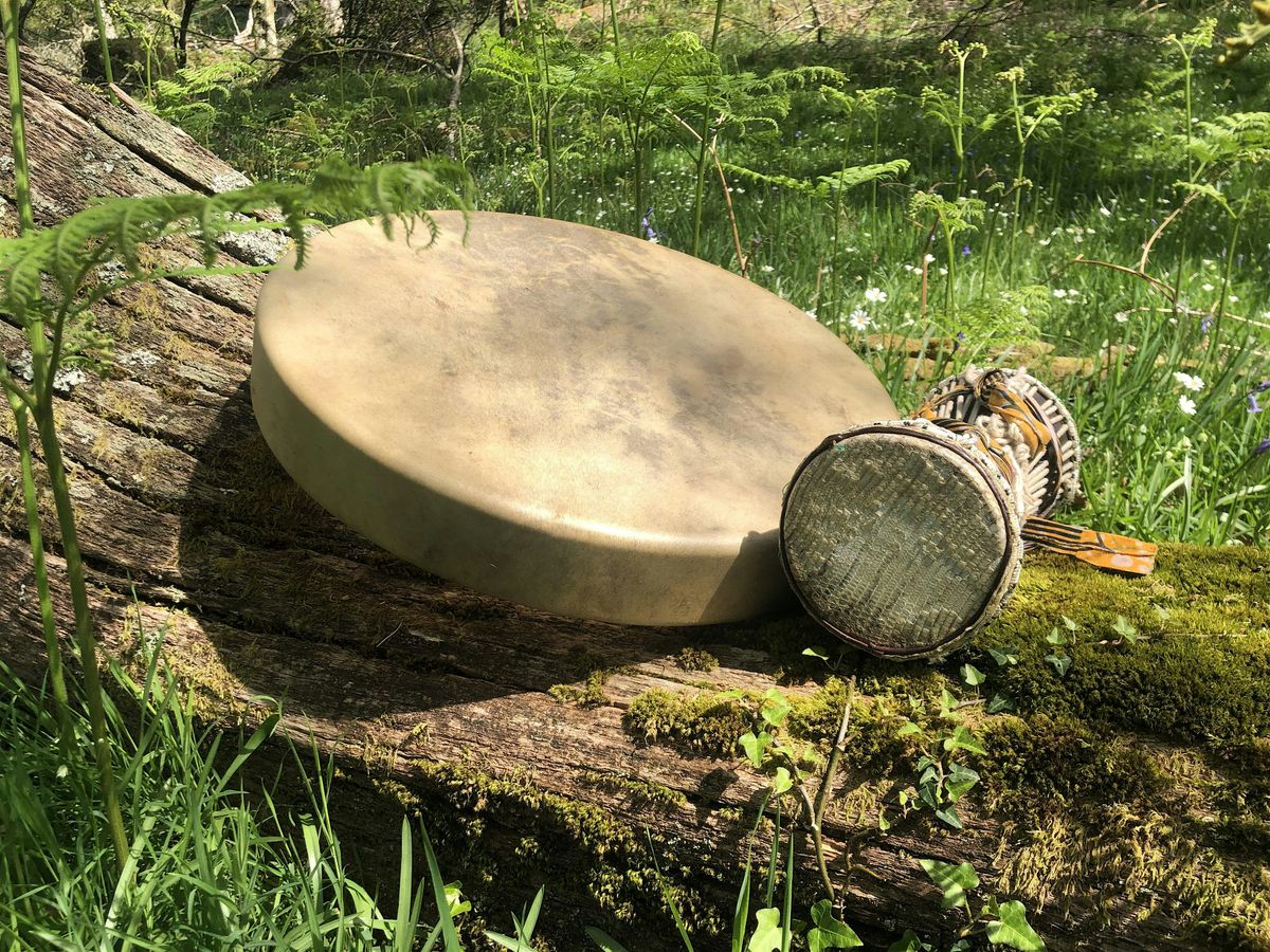 Rhythm Tree drum and percussion journey, 19 October | Event in Buckfastleigh | AllEvents
