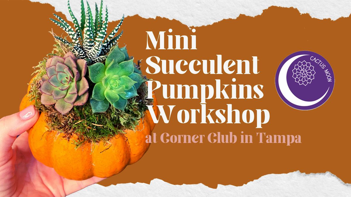 'Lil Succulent Pumpkins Workshop at Corner Club, 9 October | Event in Tampa | AllEvents