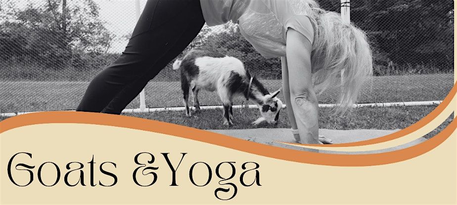 Goats & Yoga, 28 August | Event in Schoolcraft | AllEvents