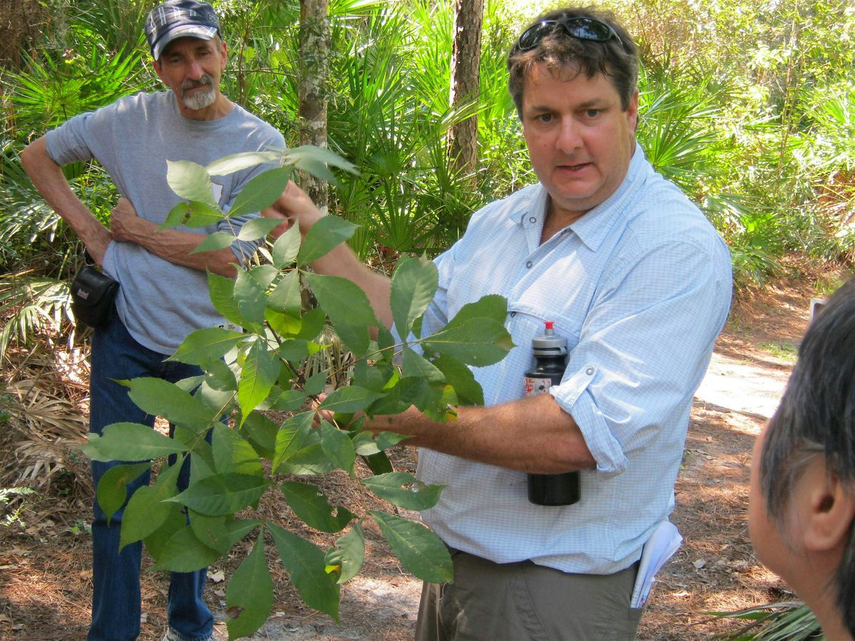 Florida Land Steward Field Day: Forest Plant Identification, 10 October | Event in Gainesville | AllEvents