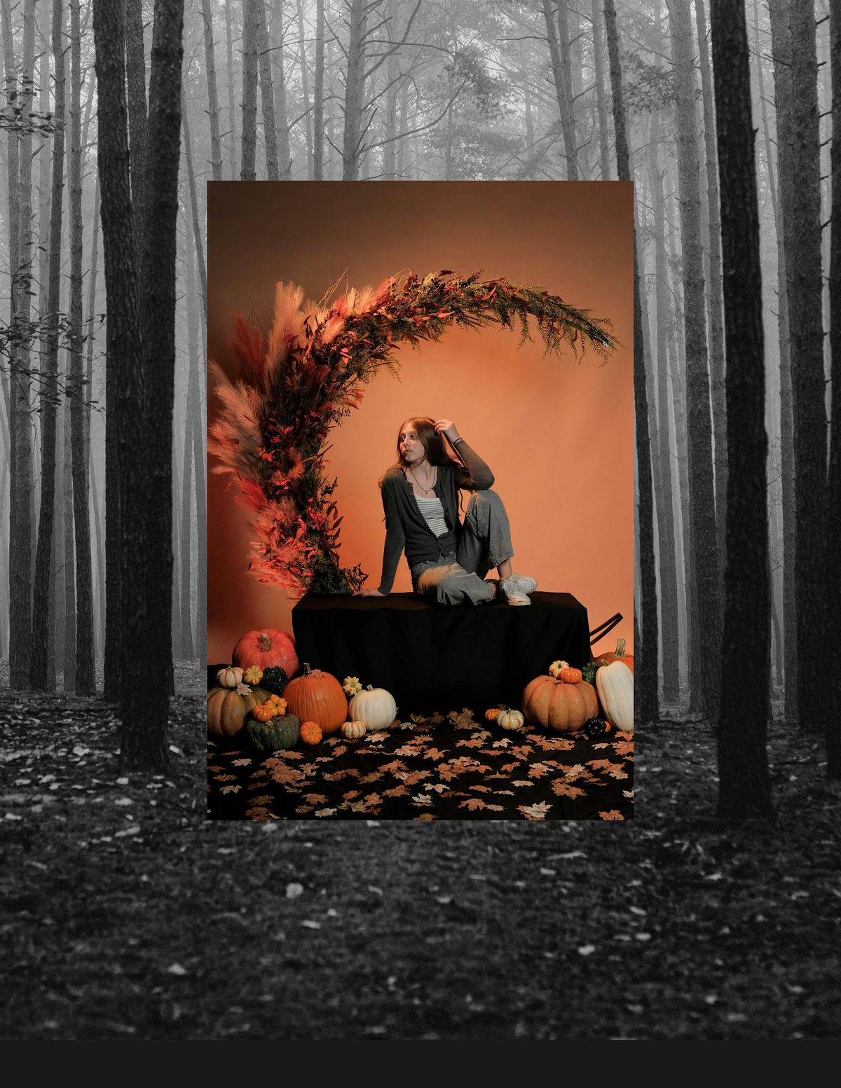 Fall Mini Sessions, 10 October | Event in Albany | AllEvents