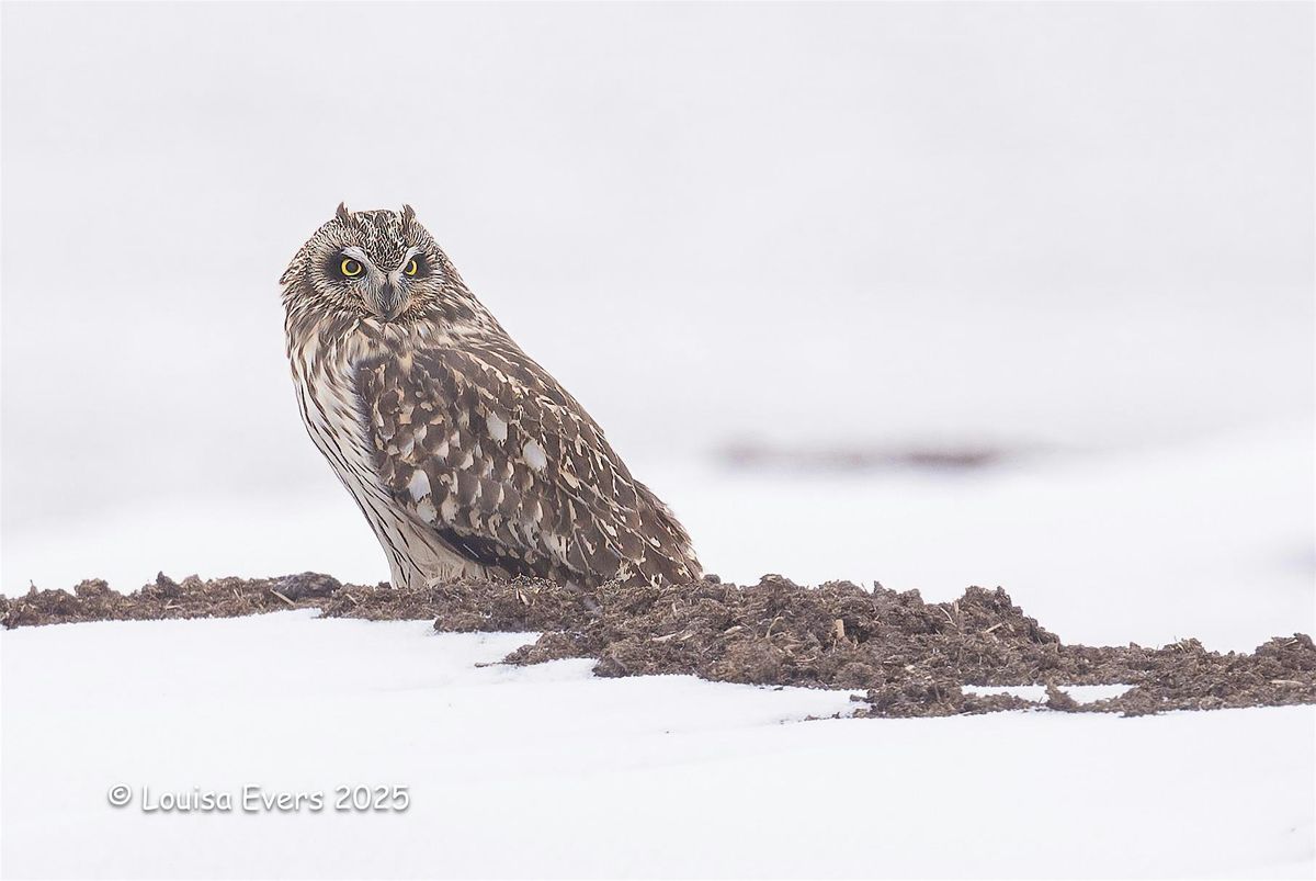 Bird Words, 7 June | Event in Boise | AllEvents
