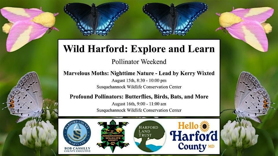 Profound Pollinators: Butterflies, Birds, Bats, and More, 16 August | Event in Darlington | AllEvents
