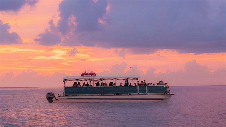 Sunset Dolphin Tour for Christian Singles $47.65/ticket through Viator, 16 August | Event in Savannah | AllEvents