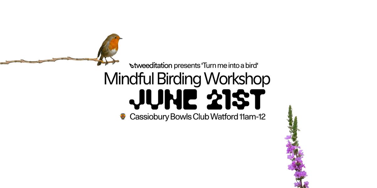 Turn me into a bird, 21 June | Event in Watford | AllEvents