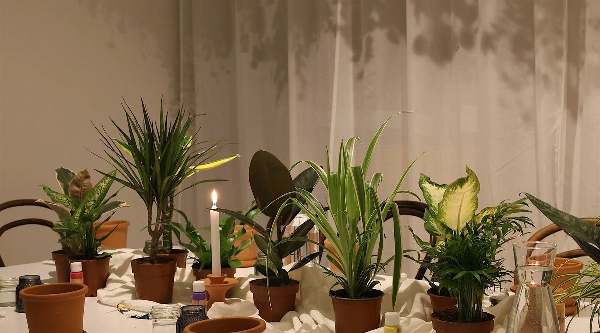 Paint & Plant Workshop: Mediterranean Vibes | Event in Wien | AllEvents