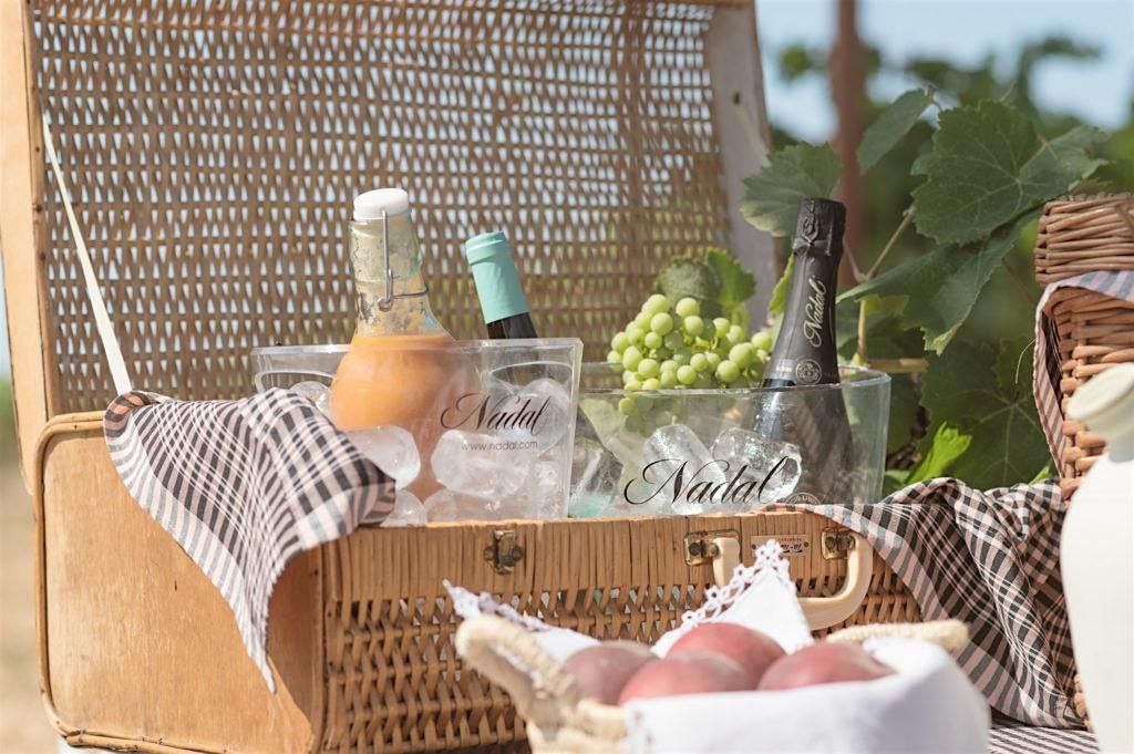 Nadal Corpinnat Tasting, 15 June | Event in Amsterdam | AllEvents