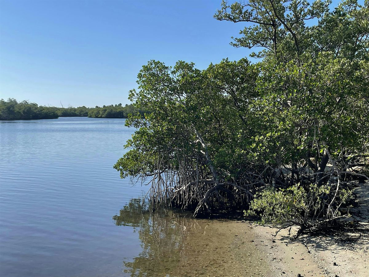 Summer Nature Walk: Our Fascinating Indian River Lagoon, 29 July | Event in Hobe Sound | AllEvents